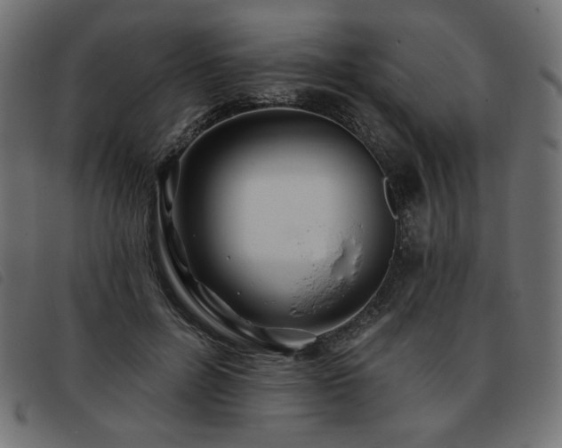 X0000093760600200710161224