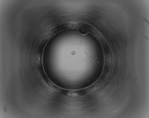 X0000093760602200710161224