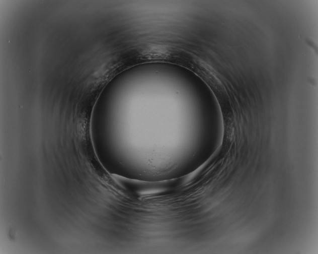 X0000093760604200710161224