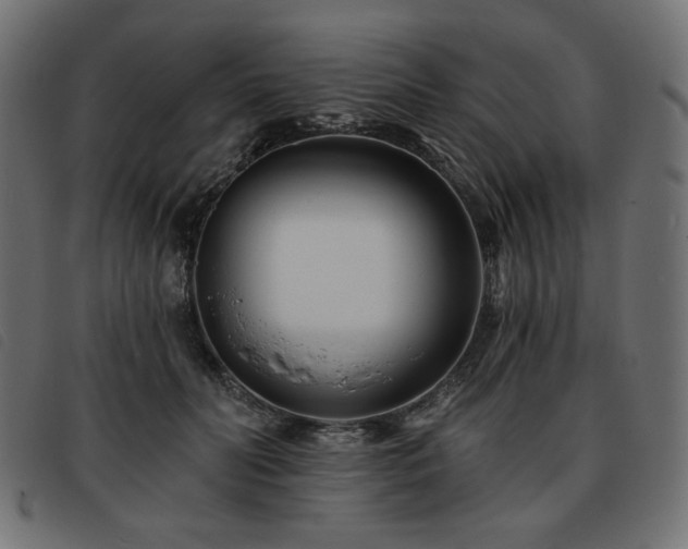 X0000093760606200710161224