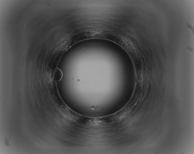 X0000093760607200710161224