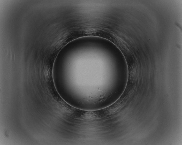 X0000093760608200710161224