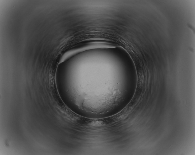 X0000093760609200710161224