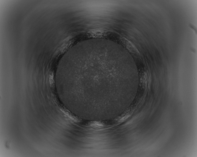 X0000093760610200710161224