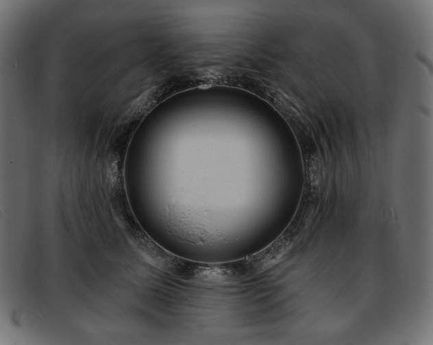 X0000093760611200710161224