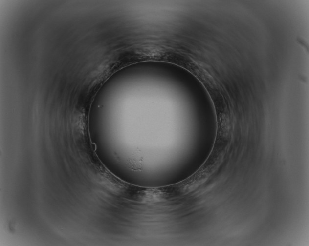 X0000093760612200710161224