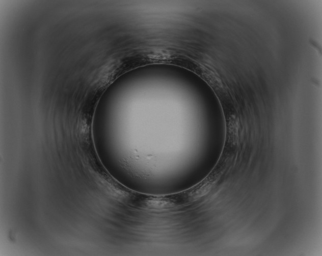 X0000093760614200710161224