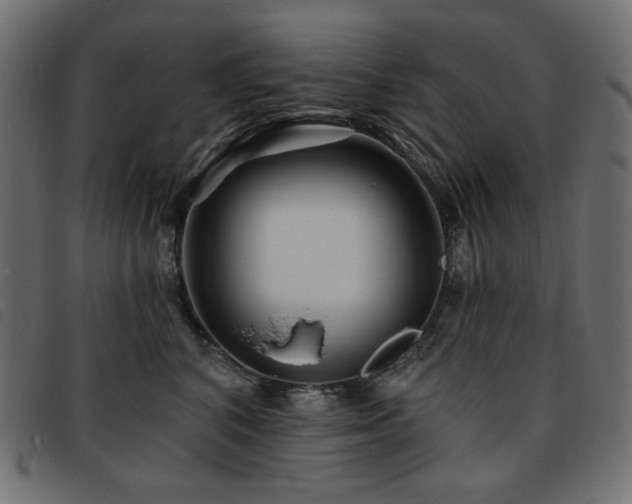 X0000093760616200710161224