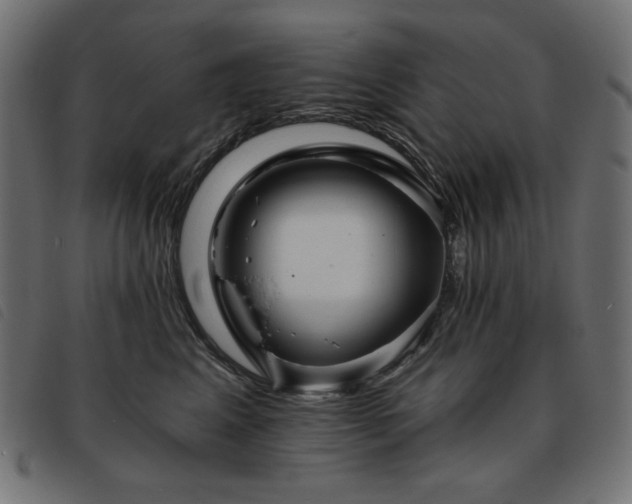 X0000093760617200710161224