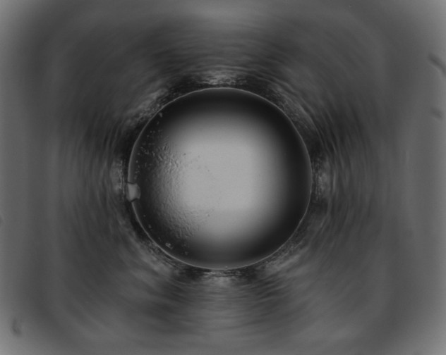 X0000093760620200710161224