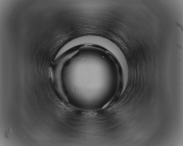 X0000093760621200710161224