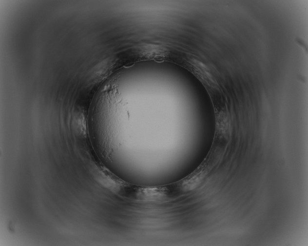 X0000093760622200710161224