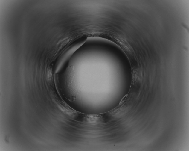 X0000093760623200710161224