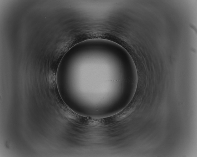 X0000093760624200710161224