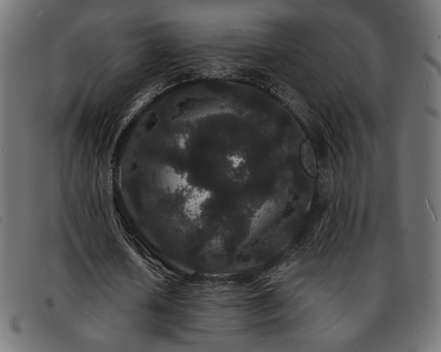 X0000093760626200710161223
