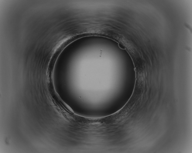 X0000093760628200710161223