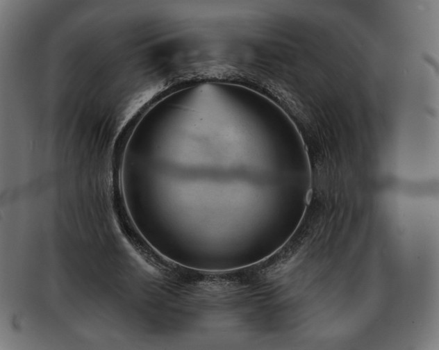 X0000093760630200710161223