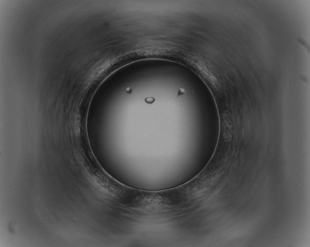 X0000093760631200710161223