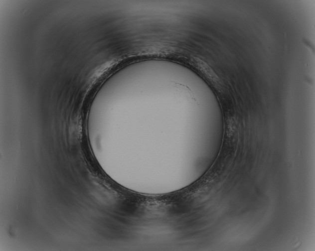 X0000093760632200710161223