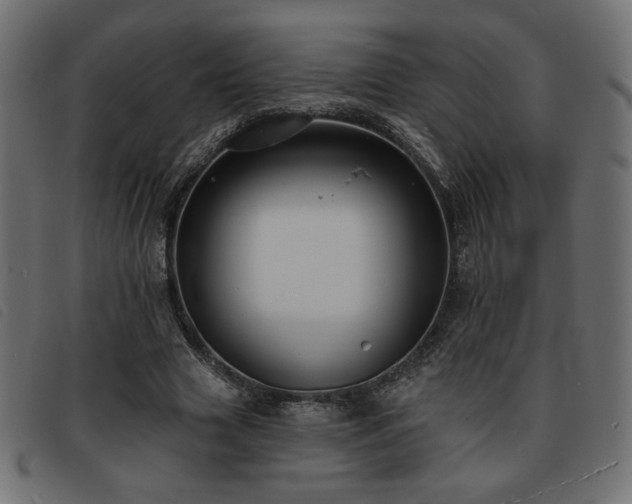 X0000093760633200710161223