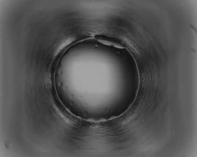 X0000093760634200710161223