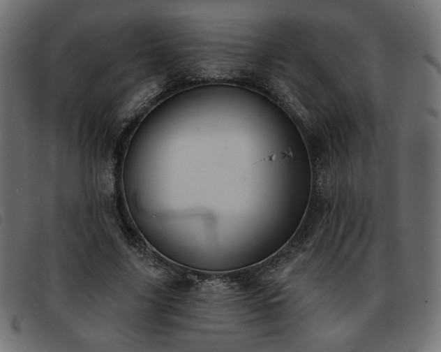 X0000093760635200710161223