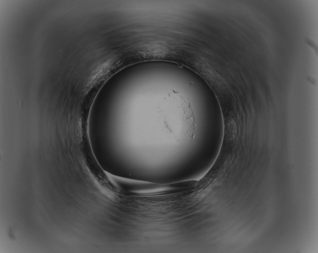 X0000093760638200710161223