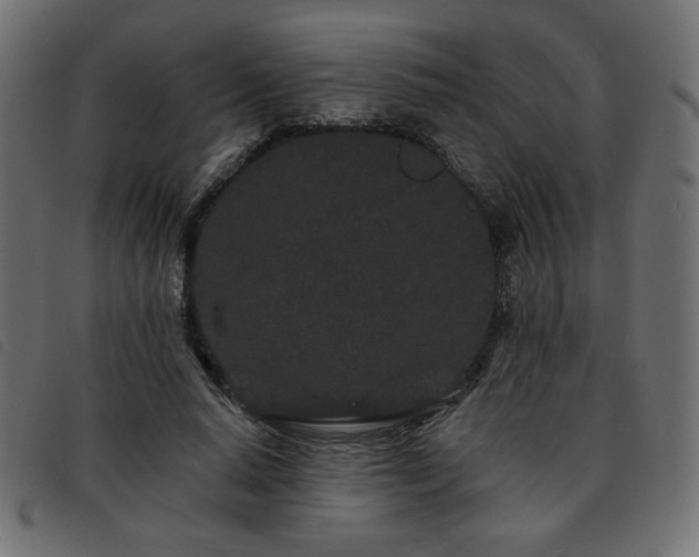 X0000093760640200710161224