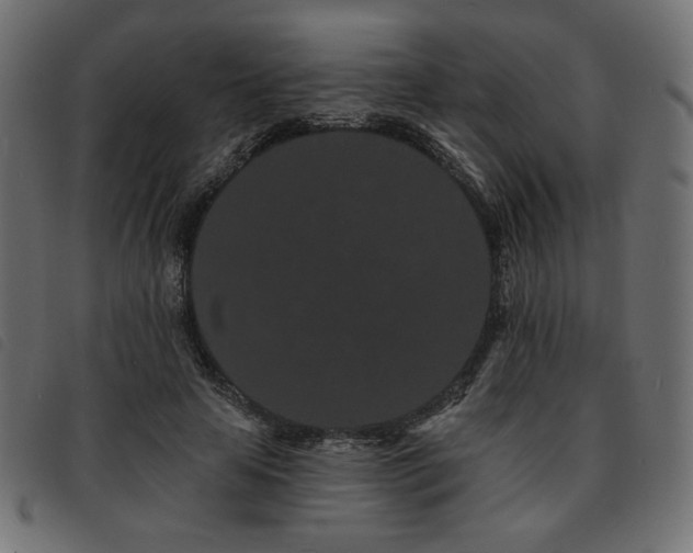X0000093760641200710161224