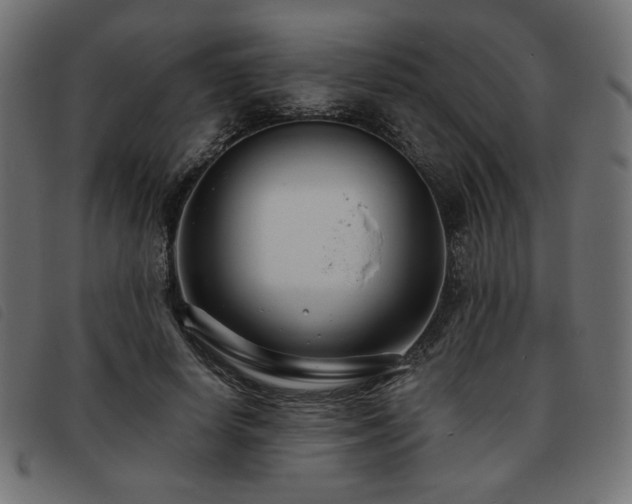 X0000093760642200710161224