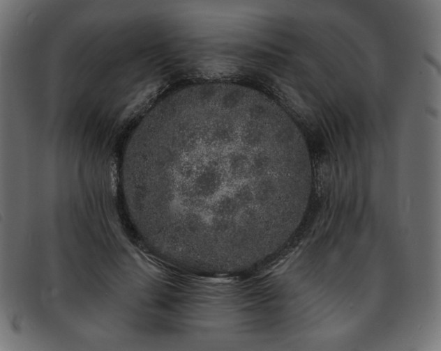 X0000093760644200710161224