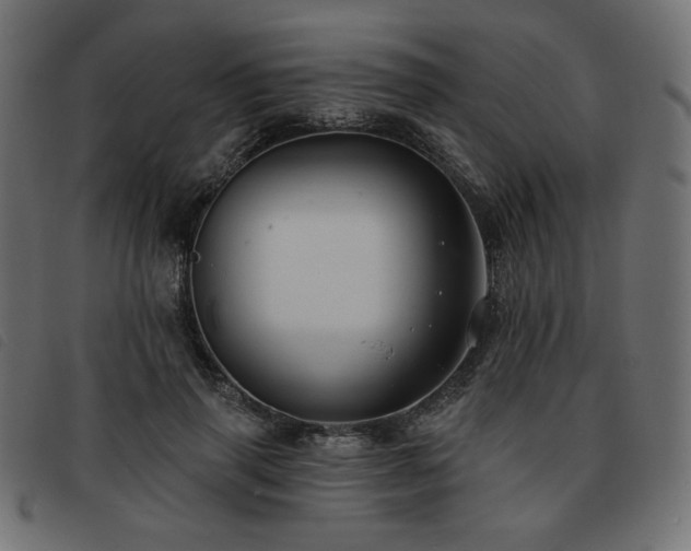 X0000093760645200710161224