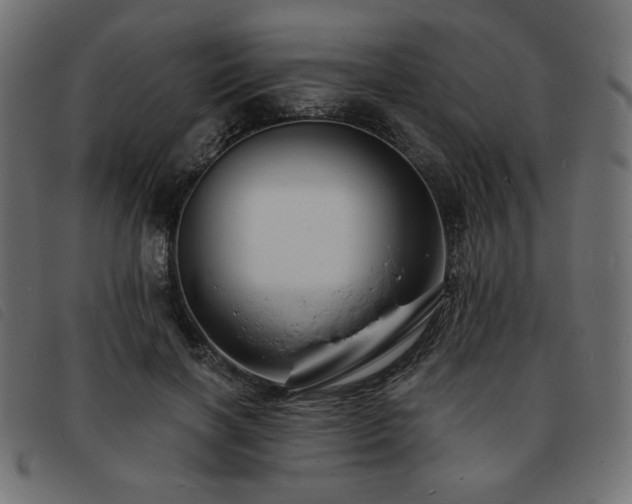 X0000093760646200710161224