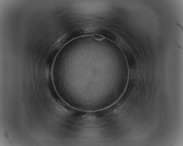 X0000093760648200710161224