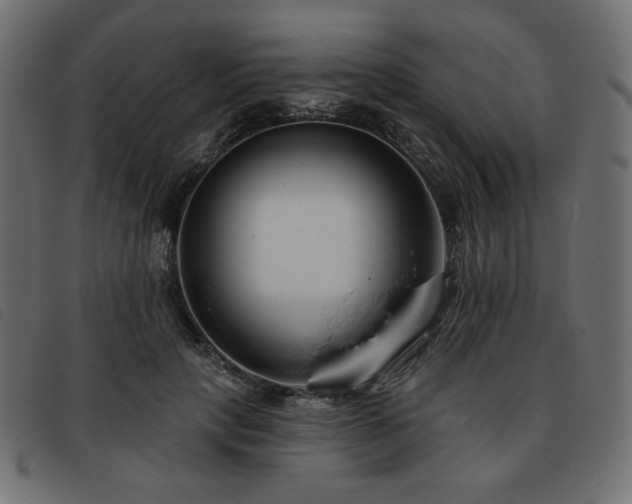 X0000093760649200710161224