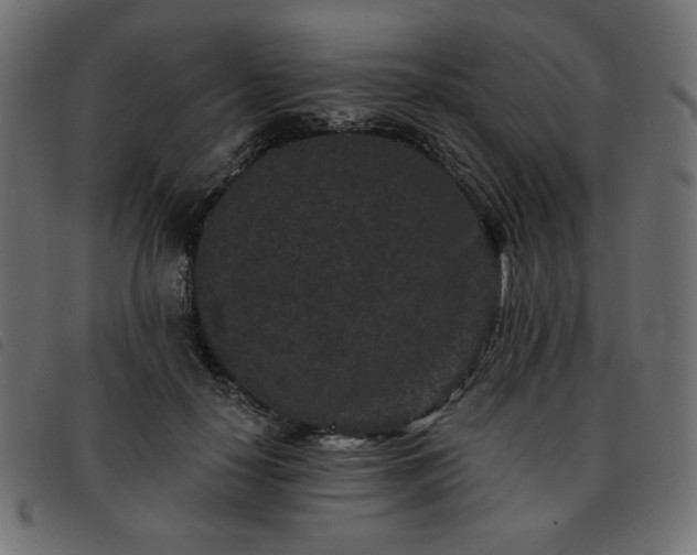 X0000093760650200710161224