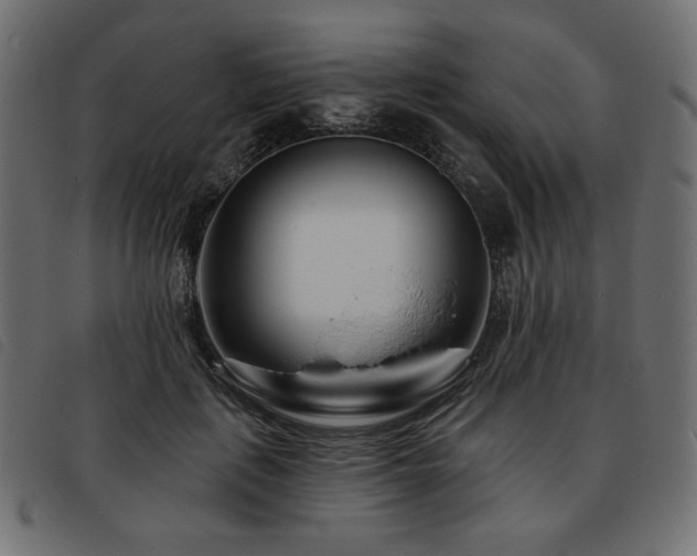 X0000093760651200710161224