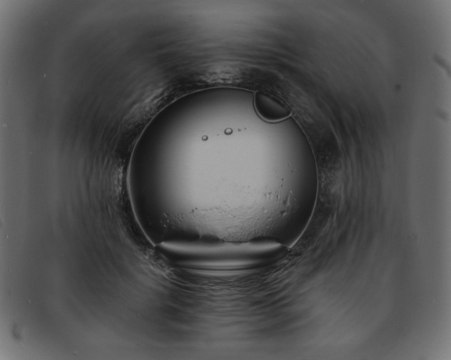 X0000093760652200710161224