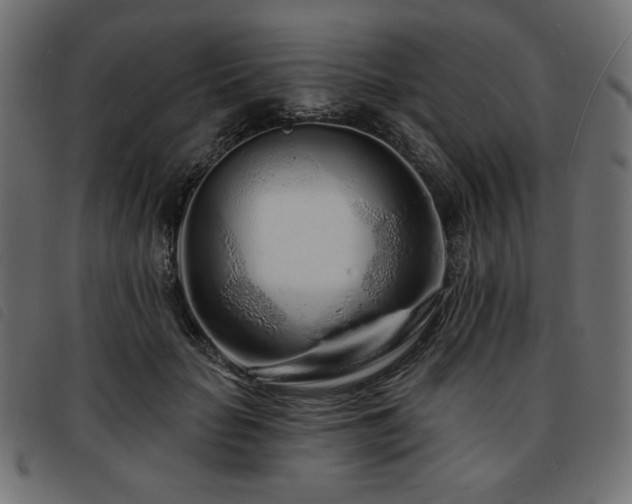 X0000093760653200710161224