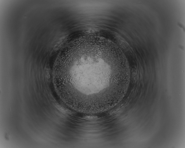 X0000093760654200710161224