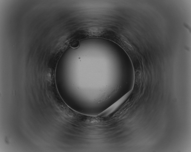 X0000093760655200710161224