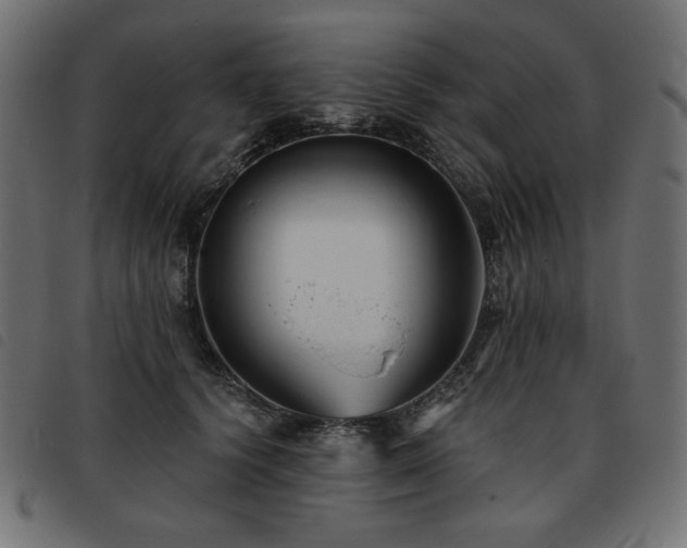 X0000093760656200710161224