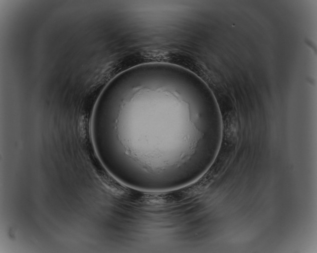 X0000093760658200710161224