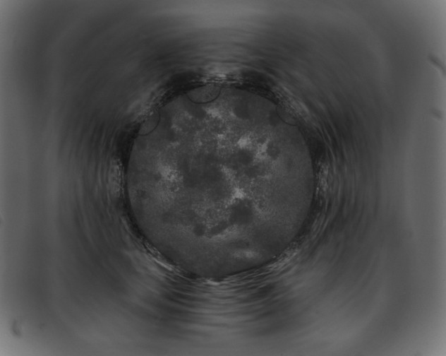 X0000093760659200710161224