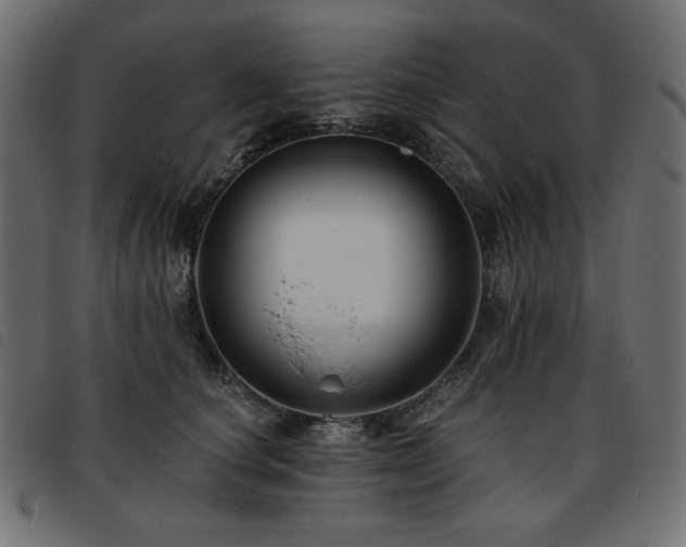 X0000093760660200710161224
