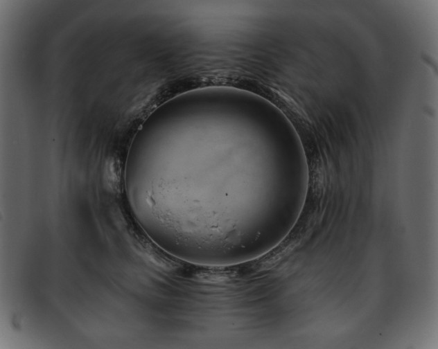 X0000093760661200710161224