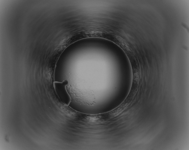 X0000093760662200710161224