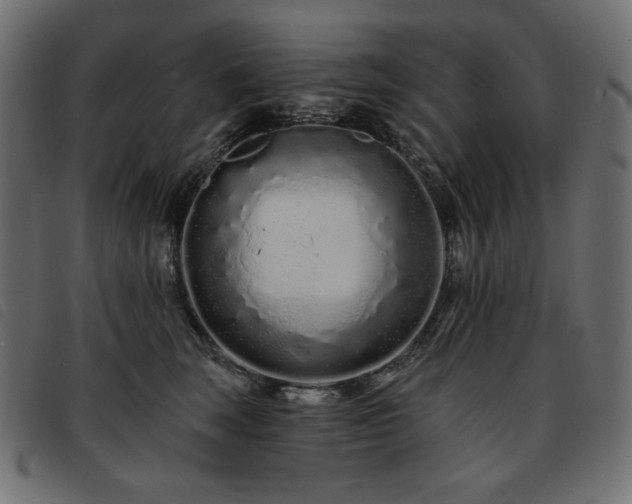 X0000093760663200710161224
