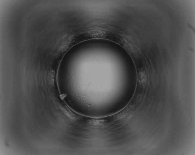 X0000093760664200710161224