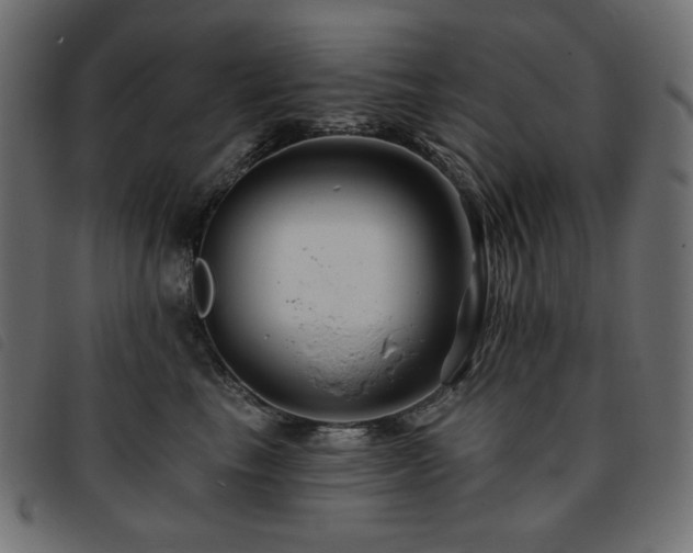 X0000093760665200710161224